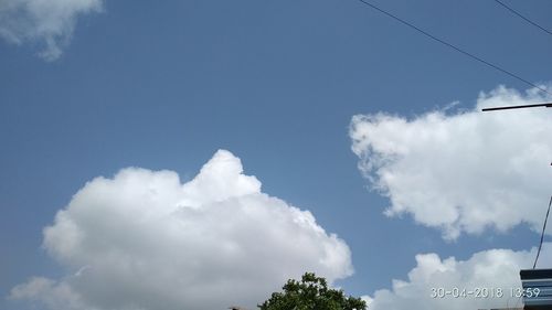 Low angle view of trees against blue sky