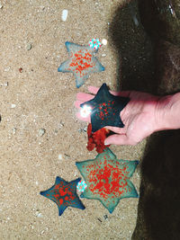 High angle view of person holding painting