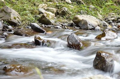 Scenic view of waterfall