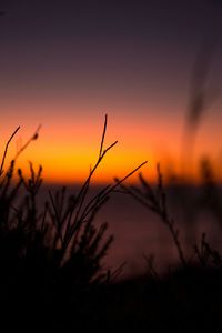 Scenic view of landscape at sunset