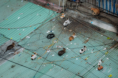 High angle view of boats in water