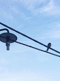 Low angle view of street light against sky