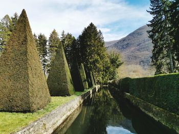 Panoramic shot of canal amidst trees against sky