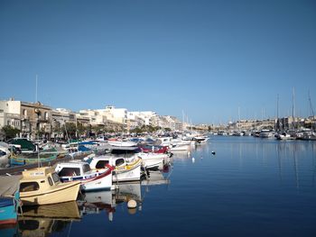 Sailboats moored at harbor
