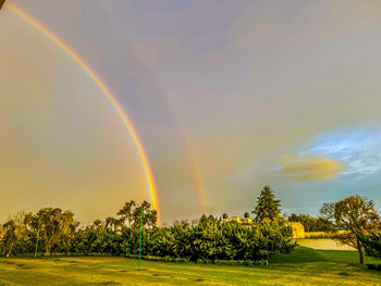 rainbow