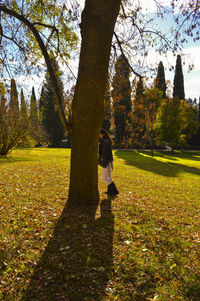 Trees on grassy field in park