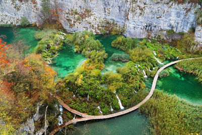 High angle view of trees by sea