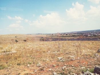 Scenic view of field against sky