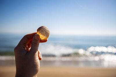 Close-up of hand holding shell at beach against sky