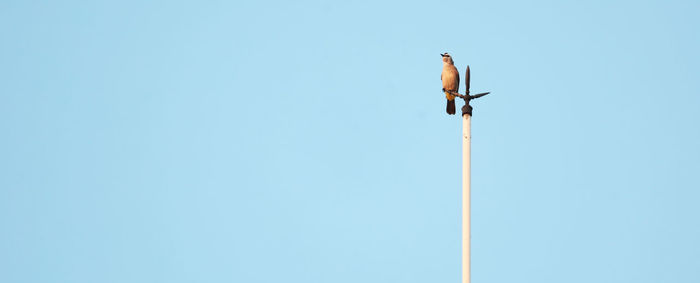 Low angle view of security camera against clear sky