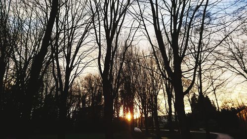 Low angle view of silhouette trees against sky during sunset