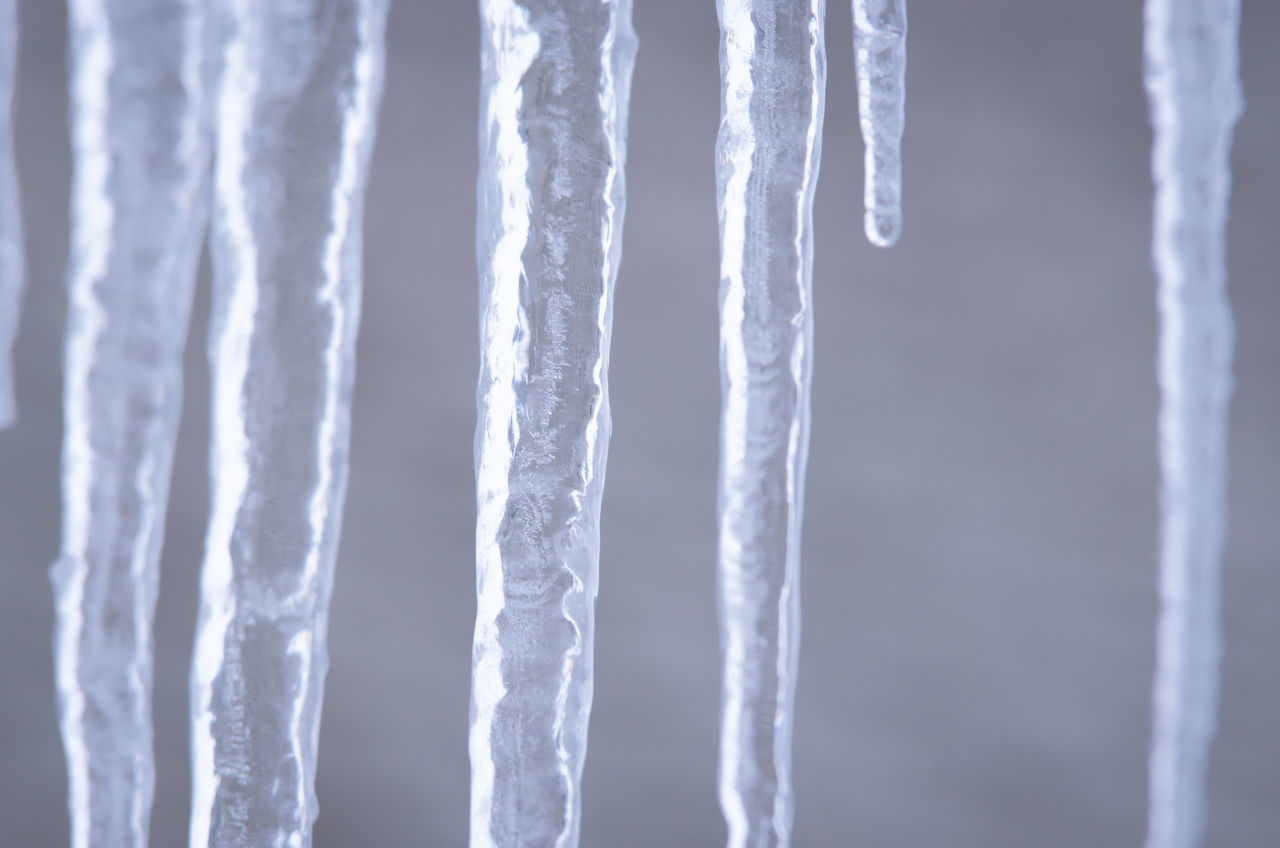 icicle, ice, freezing, no people, close-up, cold temperature, frozen, winter, nature, water, environment, white, focus on foreground, branch, outdoors, snow