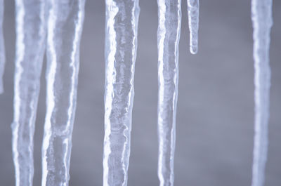 icicle