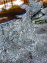 Close-up of water drops on spider web