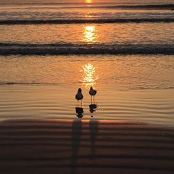 Scenic view of sunset over river