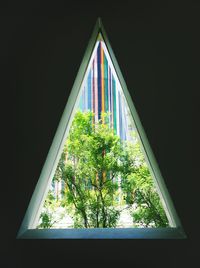 Low angle view of trees against building