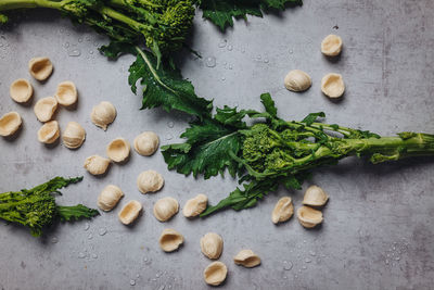 High angle view of chopped vegetables on table