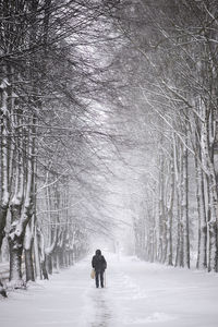 Rear view on elderly woman with cane or stick walking in city alley during snowstorm