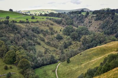 High angle view of trees on landscape against sky