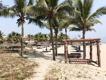 Palm trees on beach against sky