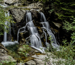 Scenic view of waterfall in forest