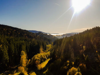 Sunlight streaming through trees against sky on sunny day