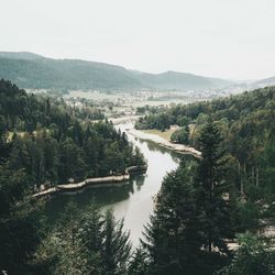 High angle view of river amidst trees in forest