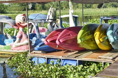 Full frame shot of fresh vegetables on plants