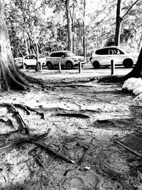 Abandoned car on road