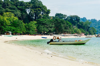 People on boat in sea against trees