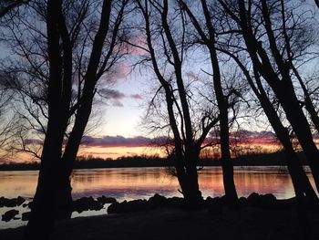 Bare trees at lakeshore