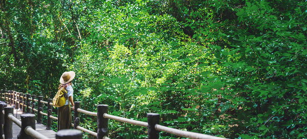 Rear view of man walking on footpath