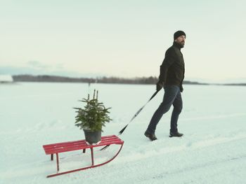 Young man pulling sledge with plant at snow covered field