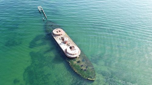 High angle view of horse in sea
