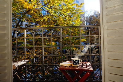 Trees and building seen through glass window