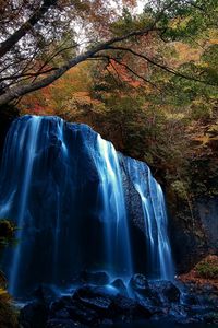 Scenic view of waterfall in forest