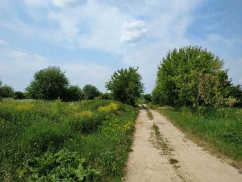 Road amidst plants and trees against sky