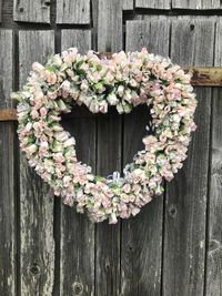 Close-up of pink flowering plants by wooden fence