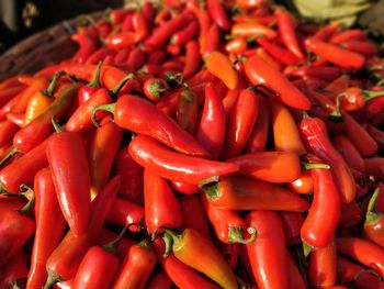 Close-up of red chili for sale at market stall