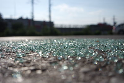 Close-up of stones on glass