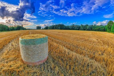 Scenic view of agricultural field against sky