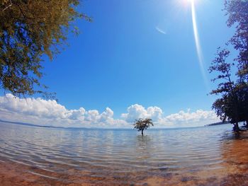 Scenic view of sea against sky on sunny day