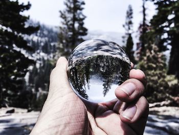 Close-up of hand holding crystal ball against trees