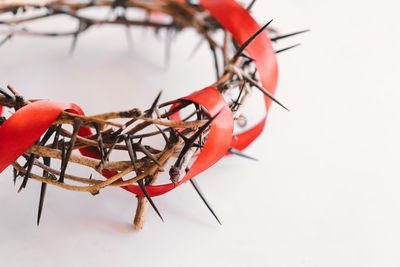 Jesus crown thorns and nails and cross on a white background. easter day