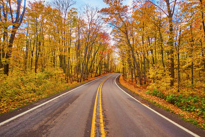 Road amidst trees during autumn