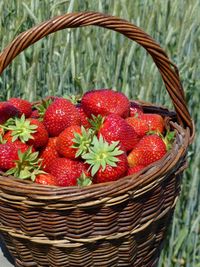 Close-up of strawberries in basket