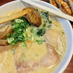 Close-up of food in bowl