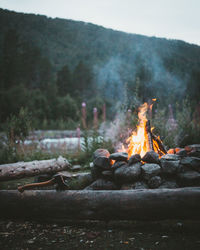 Bonfire on wooden log