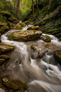 Stream flowing through rocks in forest