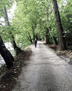 Low section of person on tree